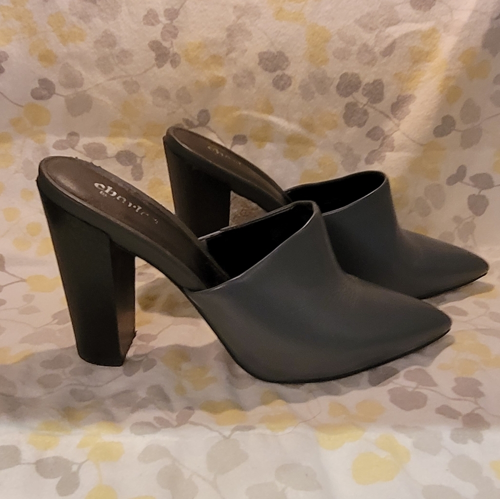 Charles By Charles David  Pointed Toe Block Heel Mules